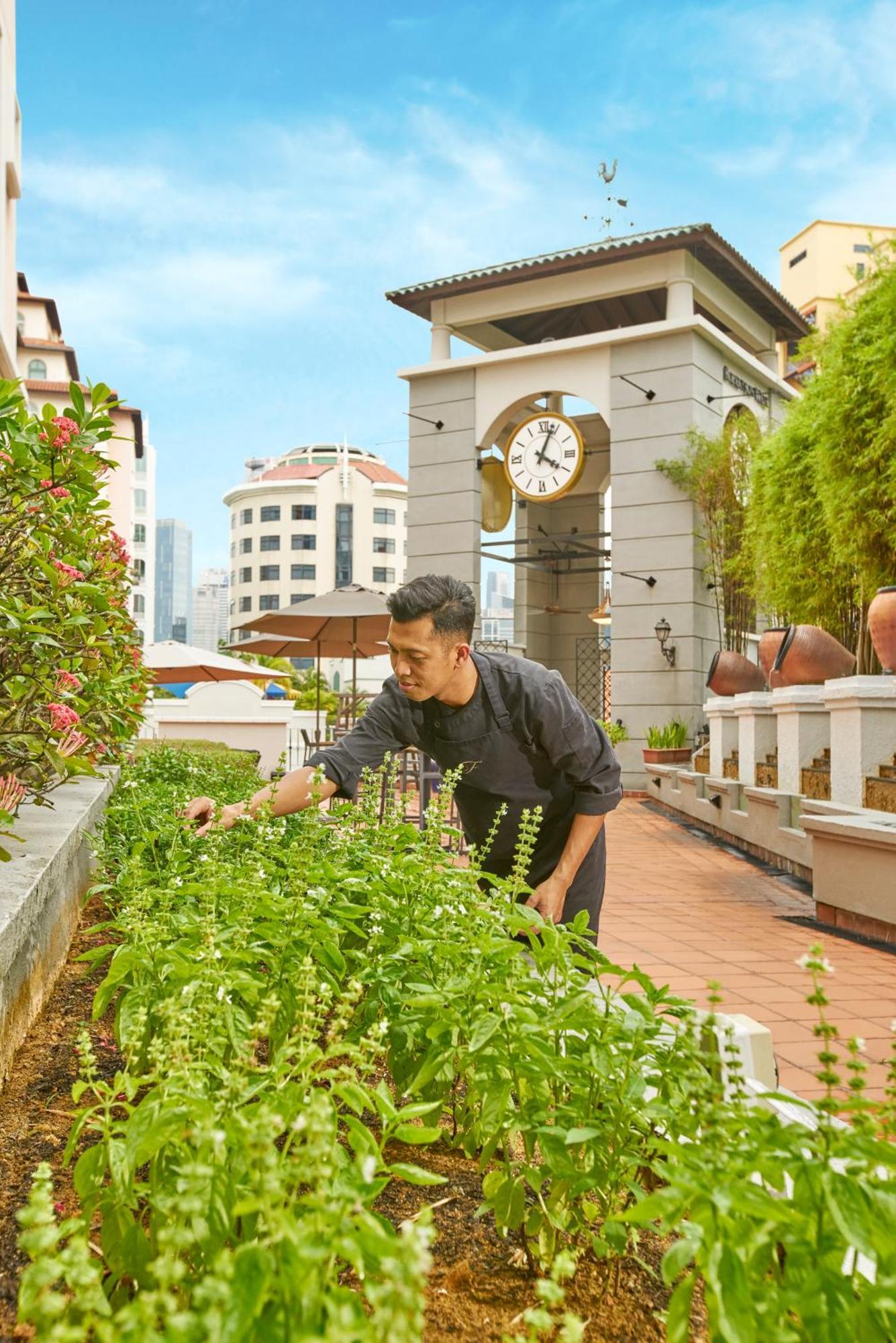 Fraser Place Robertson Walk Szingapúr Kültér fotó Chef at work at the hotel's rooftop garden